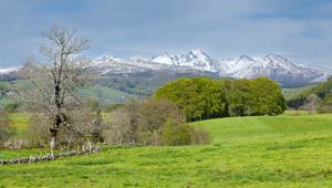 Vidange fosse septique Mont-de-Marsan